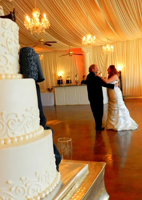 Wedding Dance to Remember Picture 2