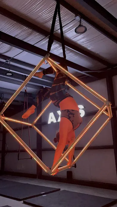 Axis Aerial Arts Picture 9