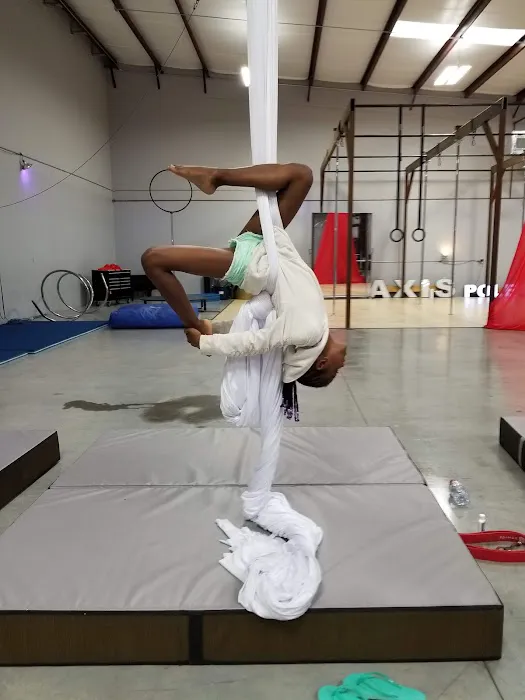 Axis Aerial Arts Picture 7