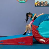 The Little Gym of Katy ico