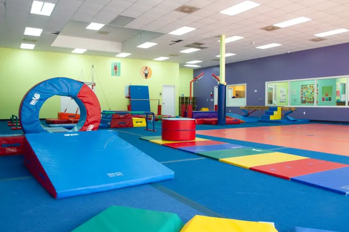 The Little Gym of Katy Picture 6