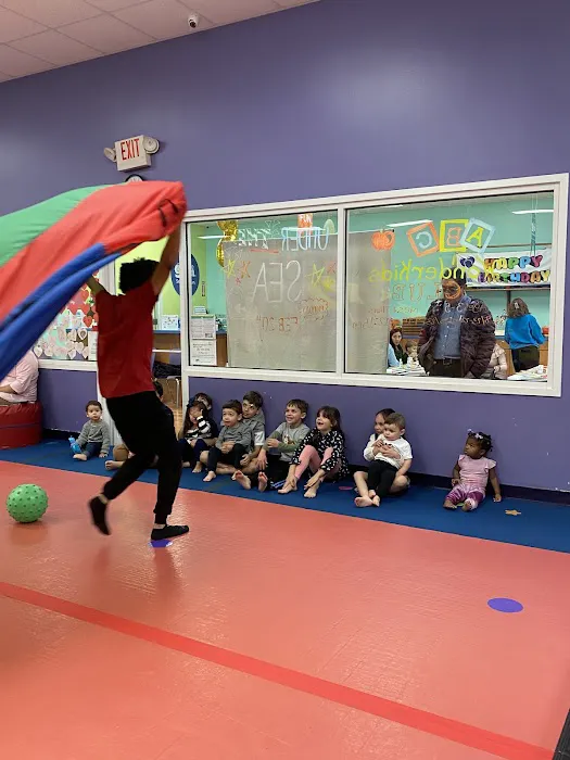 The Little Gym of Katy Picture 10