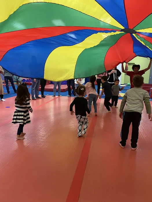 The Little Gym of Katy Picture 8