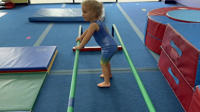 The Little Gym of Katy Picture 3