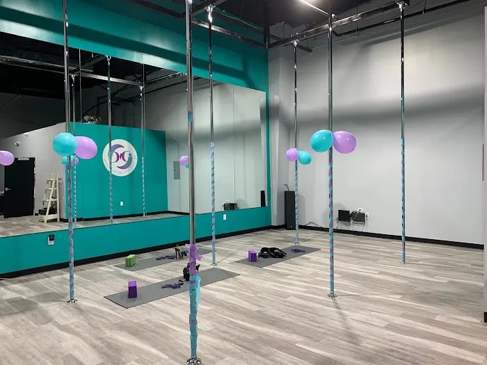 Prestige Pole and Movement Picture 4
