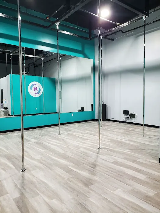 Prestige Pole and Movement Picture 6