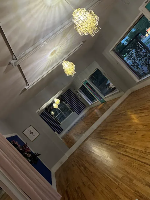 RRYSA's Art of Dance Studio Picture 7