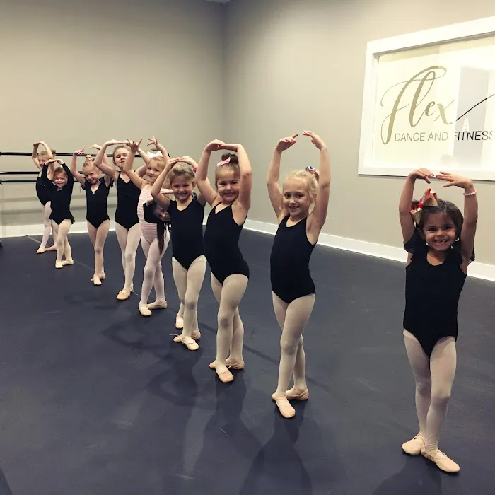 FLEX Dance and Fitness Picture 6