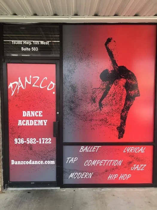 Danzco. Dance Academy Picture 2
