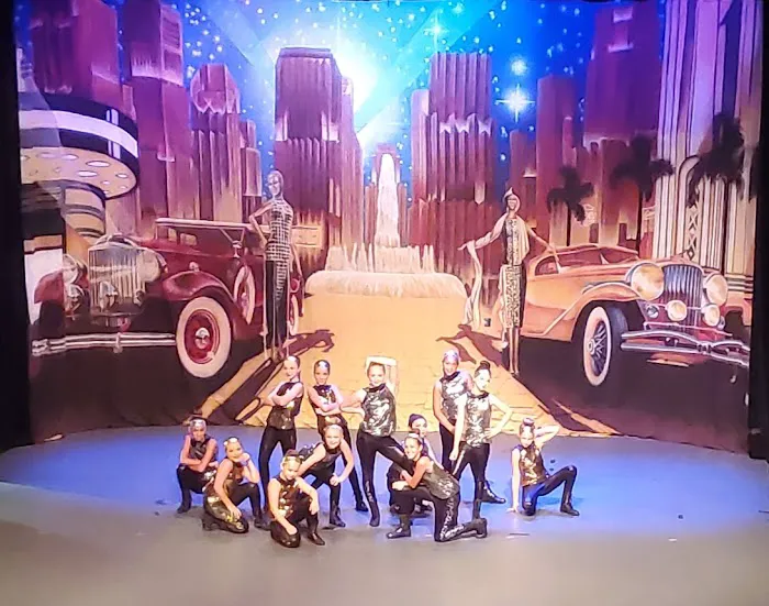 Danzco. Dance Academy Picture 1