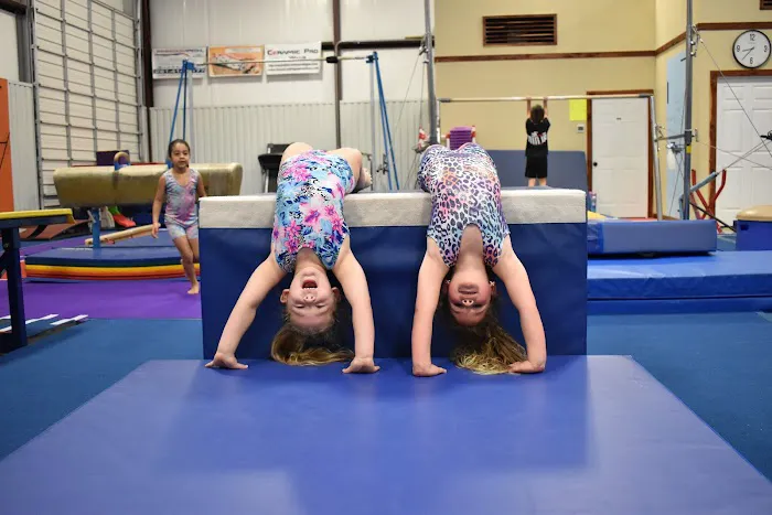 Majestic Youth Sports Center Picture 2