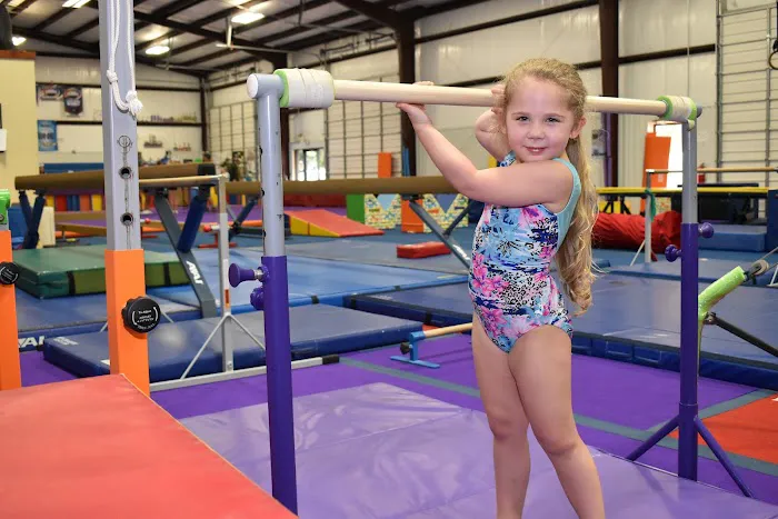 Majestic Youth Sports Center Picture 10