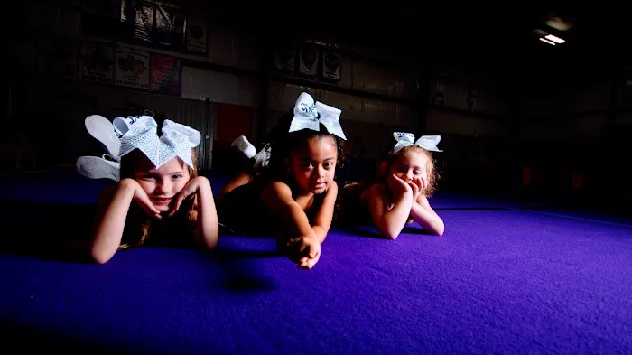 Majestic Youth Sports Center Picture 9