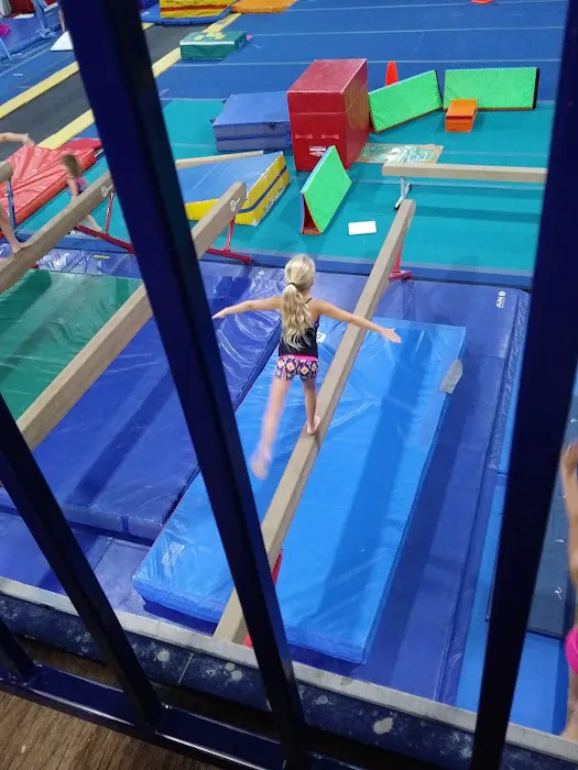 Maximum Athletics - Gymnastics Conroe Picture 3