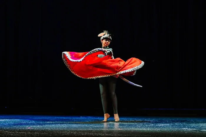 Downtown Dance Conservatory Picture 5