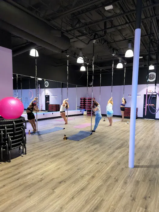 Pole Kisses, Bungee and Aerial Fitness Picture 1