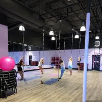 Pole Kisses, Bungee and Aerial Fitness ico