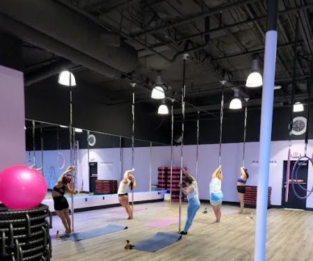 Pole Kisses, Bungee and Aerial Fitness