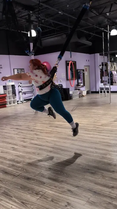 Pole Kisses, Bungee and Aerial Fitness Picture 2