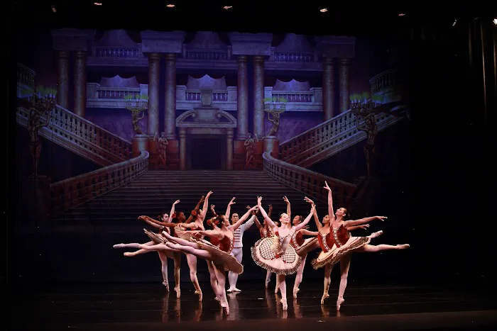 Kwak Ballet Academy Picture 9