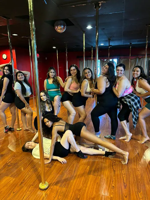 Pole Fitness Studio Picture 2