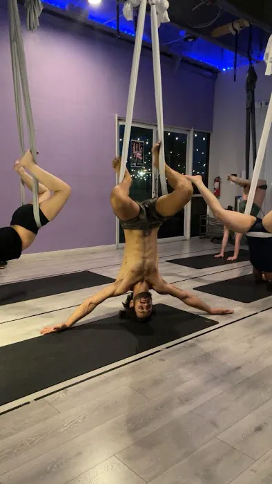 Pole Fitness Studio Picture 9