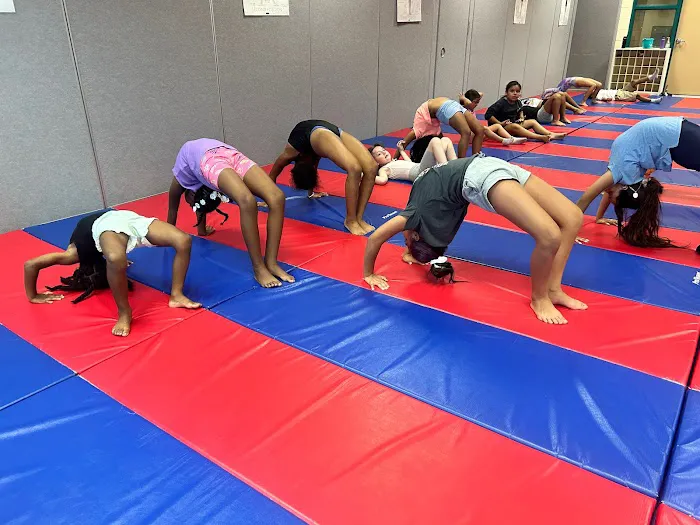 Be Beyond Great Tumbling Studio Picture 1