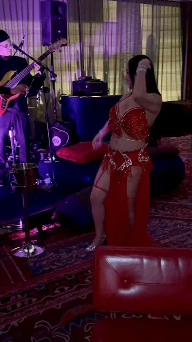 Mari Fusion Belly Dance Picture 4