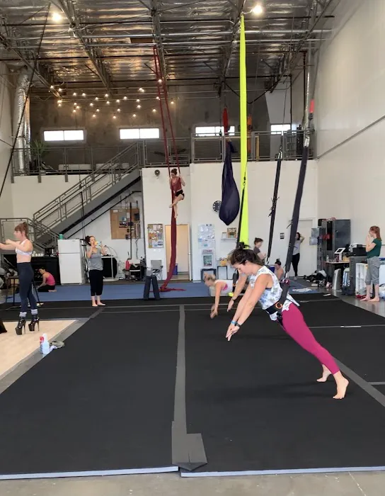 Aerial Athletica & Rhythmic Gymnastics of Las Vegas Picture 1