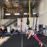 Aerial Athletica & Rhythmic Gymnastics of Las Vegas ico