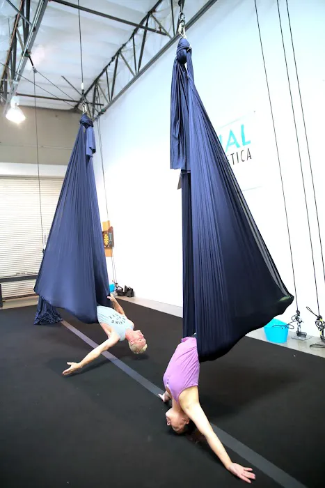 Aerial Athletica & Rhythmic Gymnastics of Las Vegas Picture 6