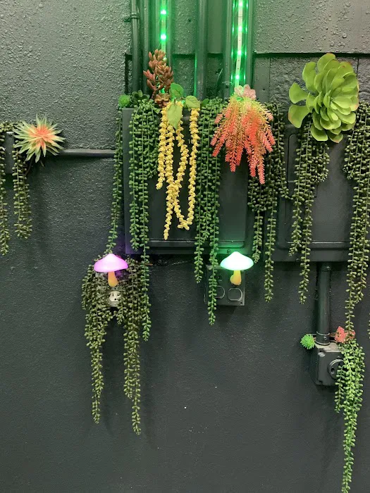Craft Motions Aerial Studio Picture 4