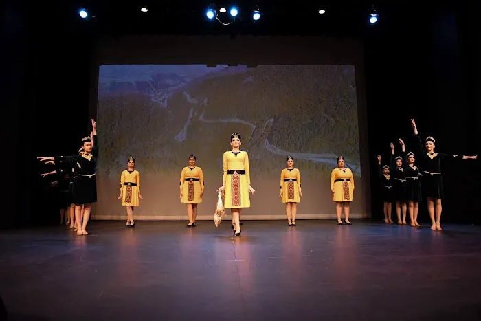 ARMENIAN DANCE SCHOOL OF LAS VEGAS Picture 7