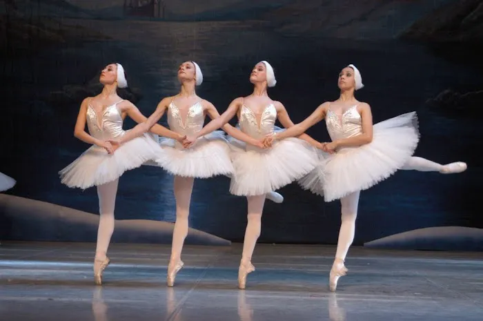 Zemskov Dance Academy Picture 5