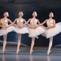 Zemskov Dance Academy ico