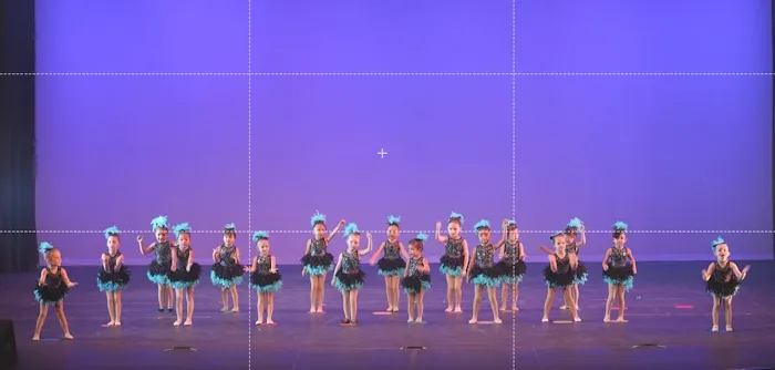 Synergy Dance Picture 2