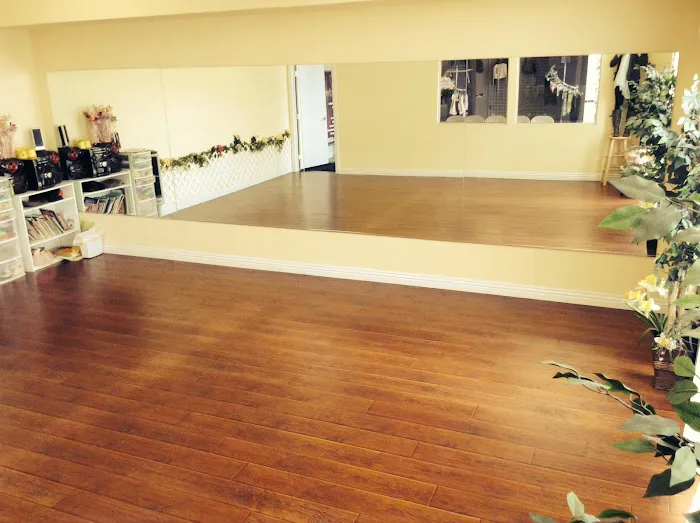 Meraki Dance Academy Picture 6