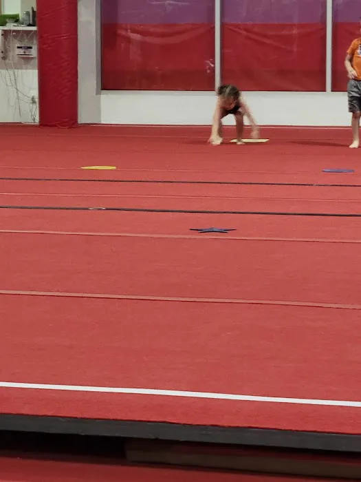 GYMCATS Picture 4