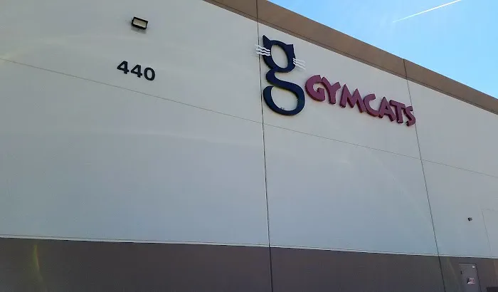 GYMCATS Picture 3