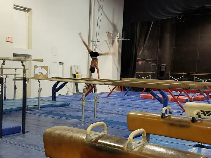 GYMCATS Picture 10