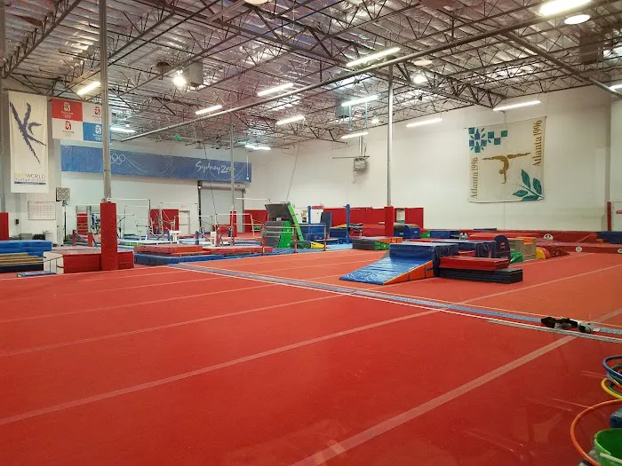 GYMCATS Picture 1