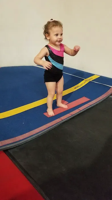 GYMCATS Picture 8