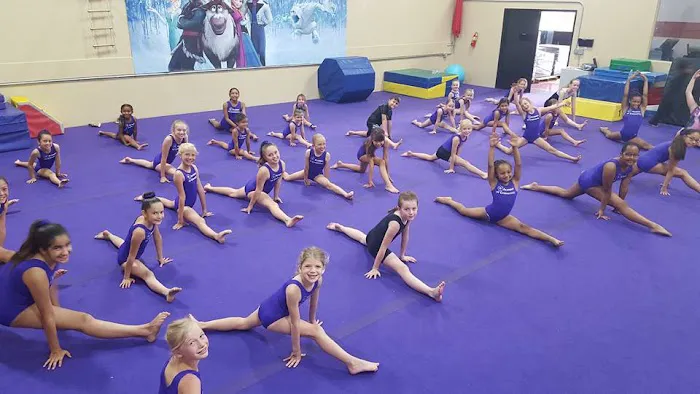 Salcianu Elite Academy of Gymnastics Picture 1