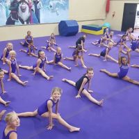 Salcianu Elite Academy of Gymnastics ico