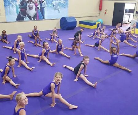 Salcianu Elite Academy of Gymnastics