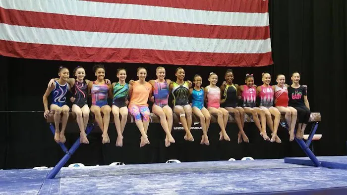 Salcianu Elite Academy of Gymnastics Picture 2