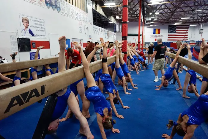 Salcianu Elite Academy of Gymnastics Picture 7