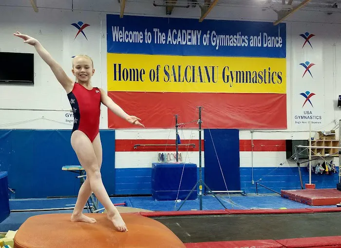 Salcianu Elite Academy of Gymnastics Picture 10
