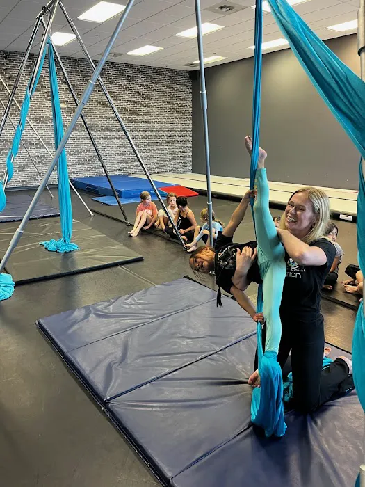 Dance & Aerial Addiction Picture 4