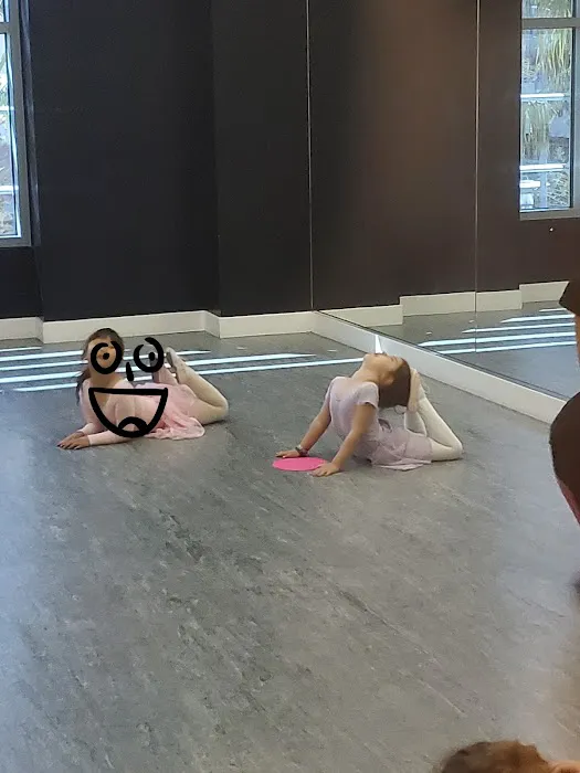 Dance Dynamics Picture 1